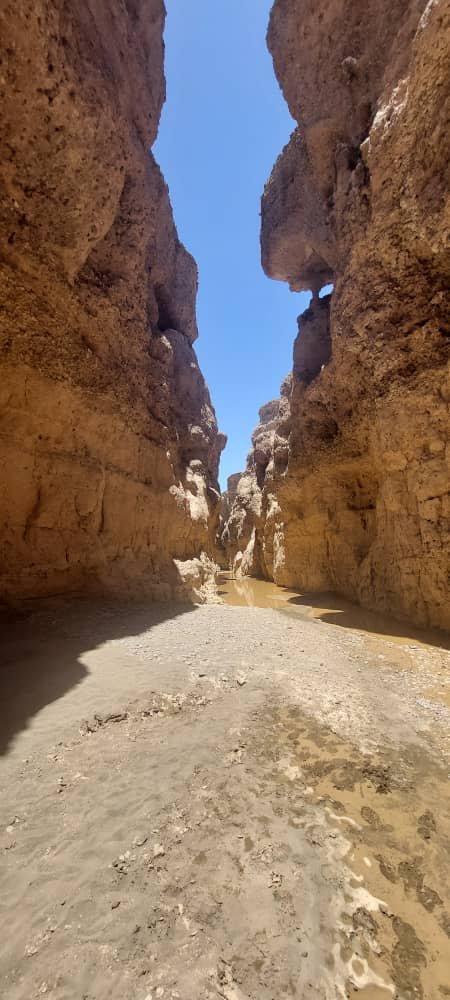 Guided Sossusvlei 2-Day Tour in Namibia - Dominus Dune Tours